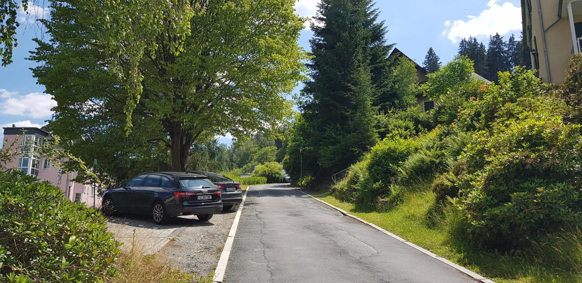 Ferienwohnungen Villa Goldbrunnen Bad Elster Buitenkant foto