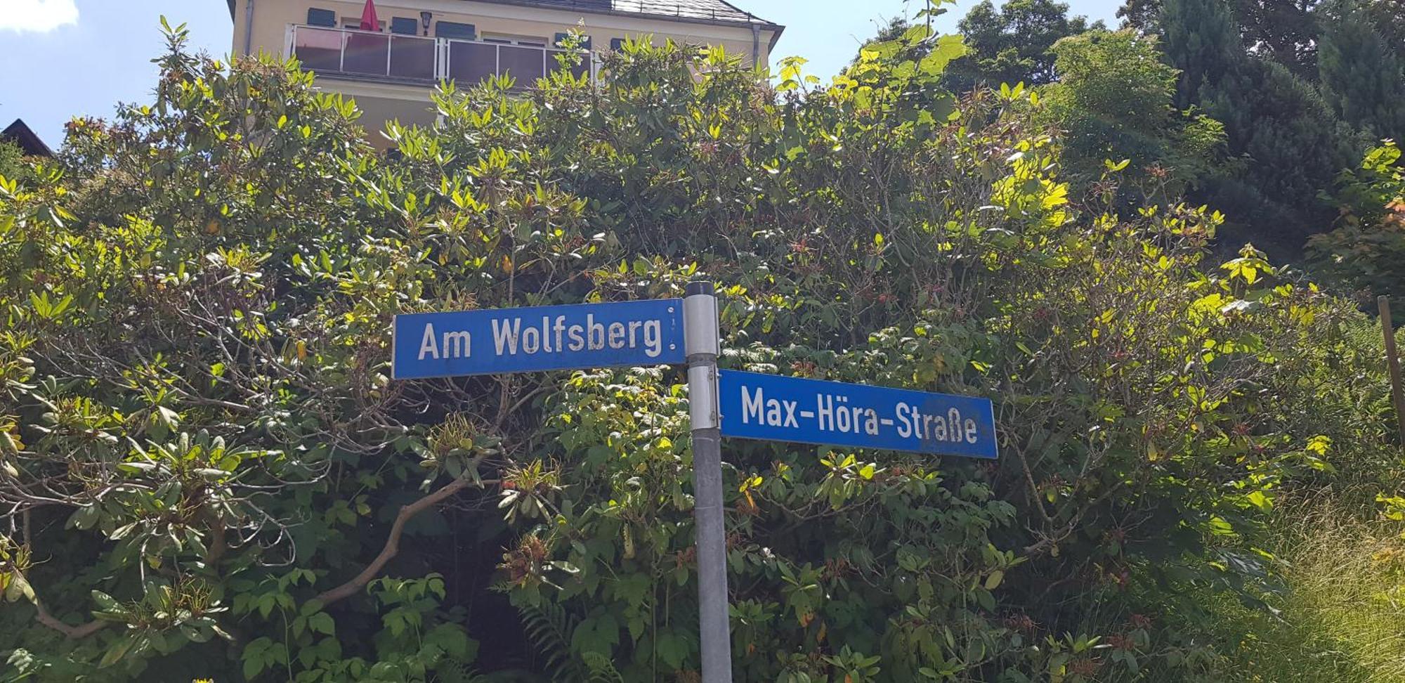 Ferienwohnungen Villa Goldbrunnen Bad Elster Buitenkant foto
